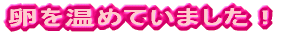 �������߂Ă��܂����I 