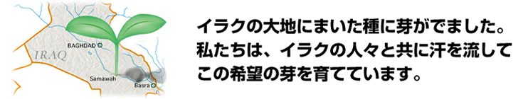 イラクの大地にまいた種に芽がでました。私たちは、イラクの人々と共に汗を流してこの希望の芽を育てています。