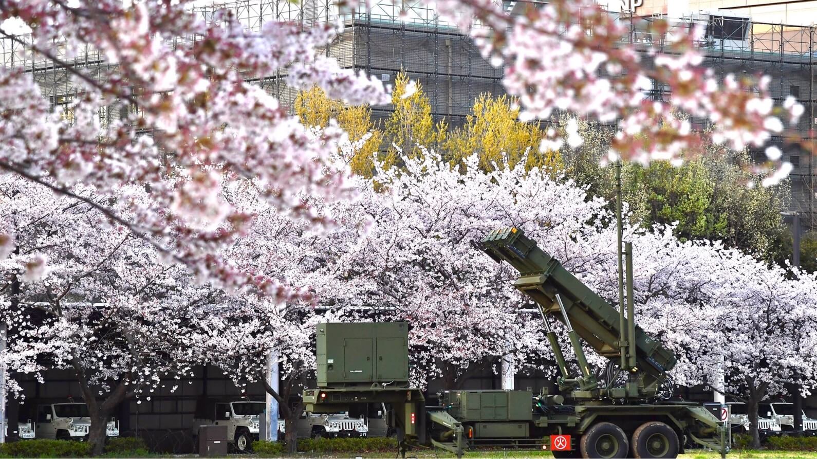 桜の下に設置された装備車両の写真