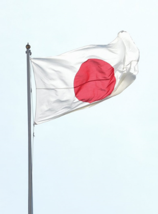 桜の下に設置された装備車両の写真