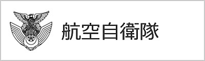 航空自衛隊