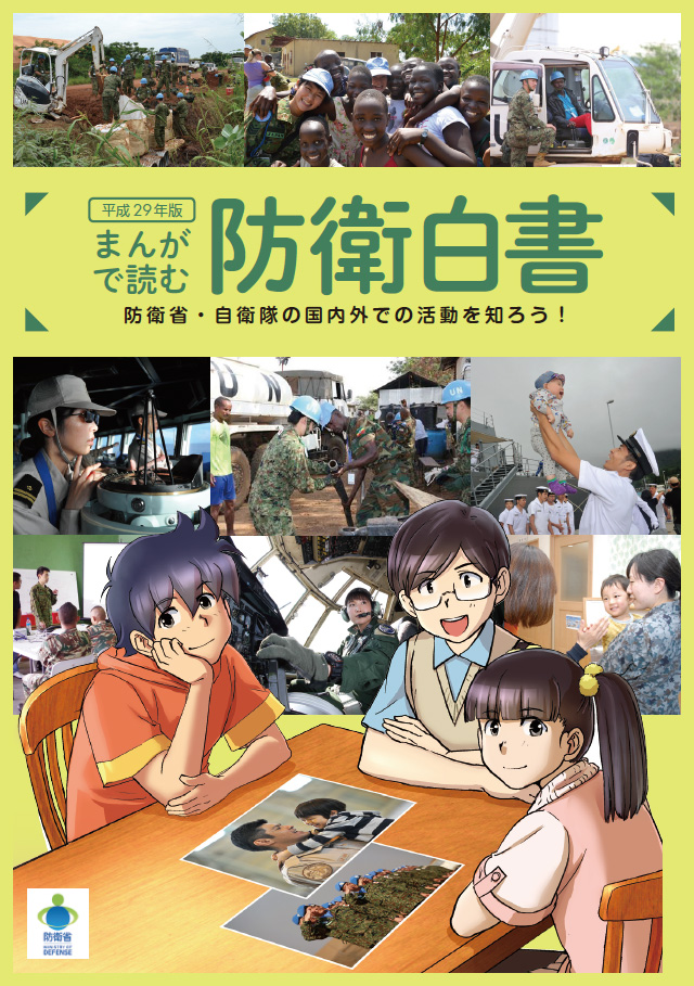 平成２９年版