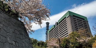 桜が咲き誇る防衛省