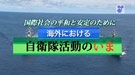 国際社会の平和と安定のために～海外における自衛隊活動のいま 安倍内閣総理大臣訓示