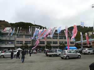 鯉のぼり設置支援（大槌町安渡小学校）