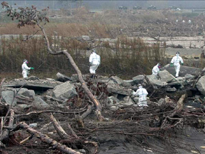 第４４普通科連隊による捜索活動：福島県浪江町