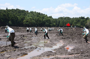 第４４普通科連隊による捜索活動:福島県浪江町請戸地区