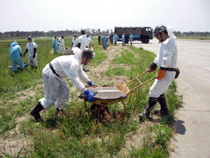 空自隊員による松島基地周辺の整備