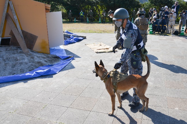 救出救助訓練に参加する人員捜索犬