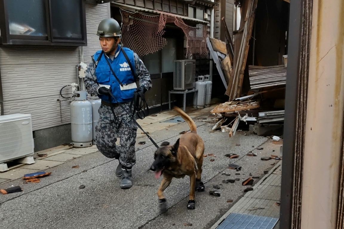 輪島市において人員捜索を行う人員捜索犬と空自隊員