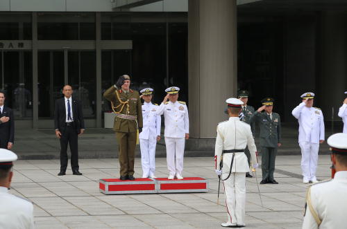 Formal Salute of a Guard of Honor