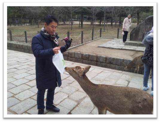 �ޗǌ����i�ޗǁj