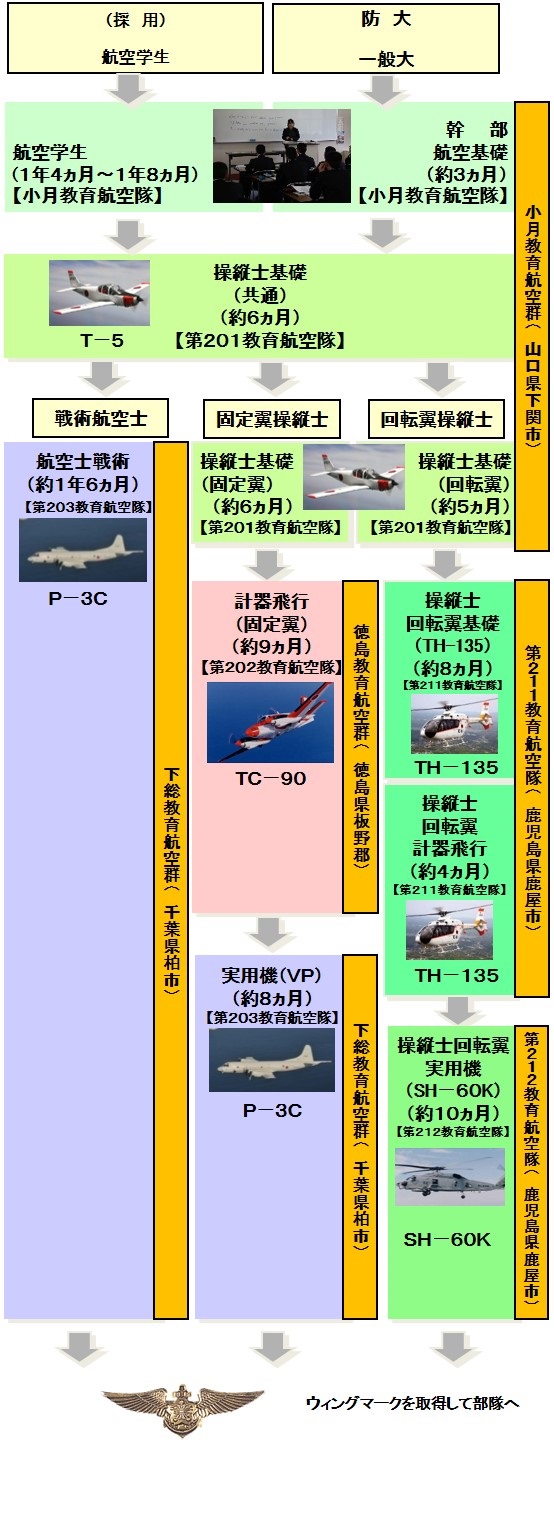 パイロットへの道 | 教育航空集団