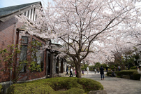 横須賀基地