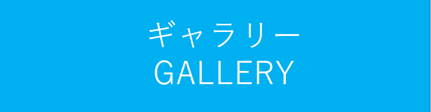 ギャラリー