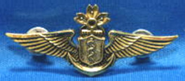 航空医官徽章