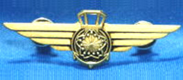 航空管制徽章