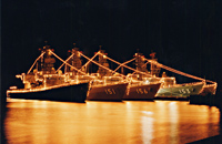 電灯艦飾