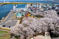八戸市の四季