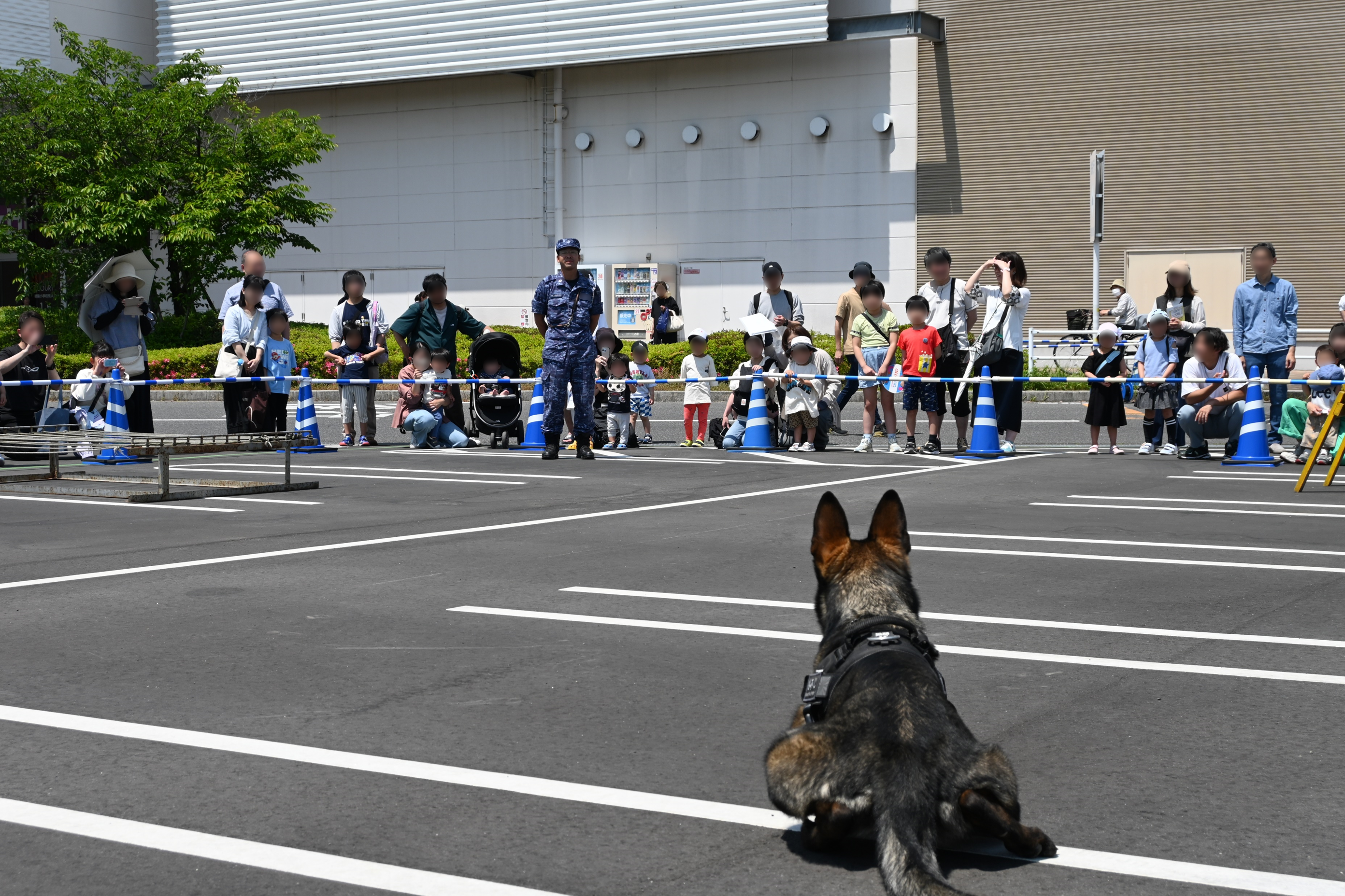 ハンドラーの指示に忠実に従う警備犬
