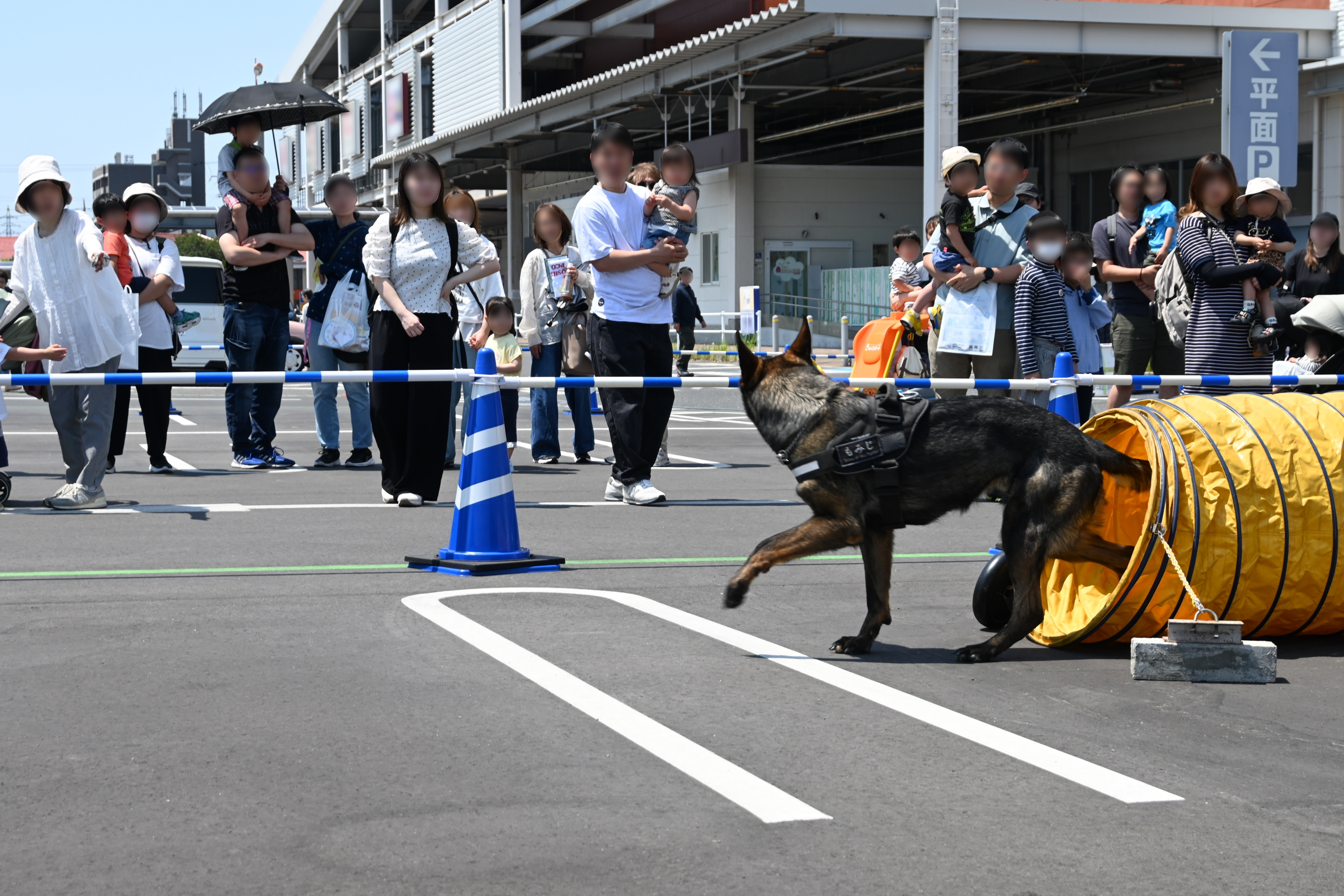 狭いところを通り抜けることもできます