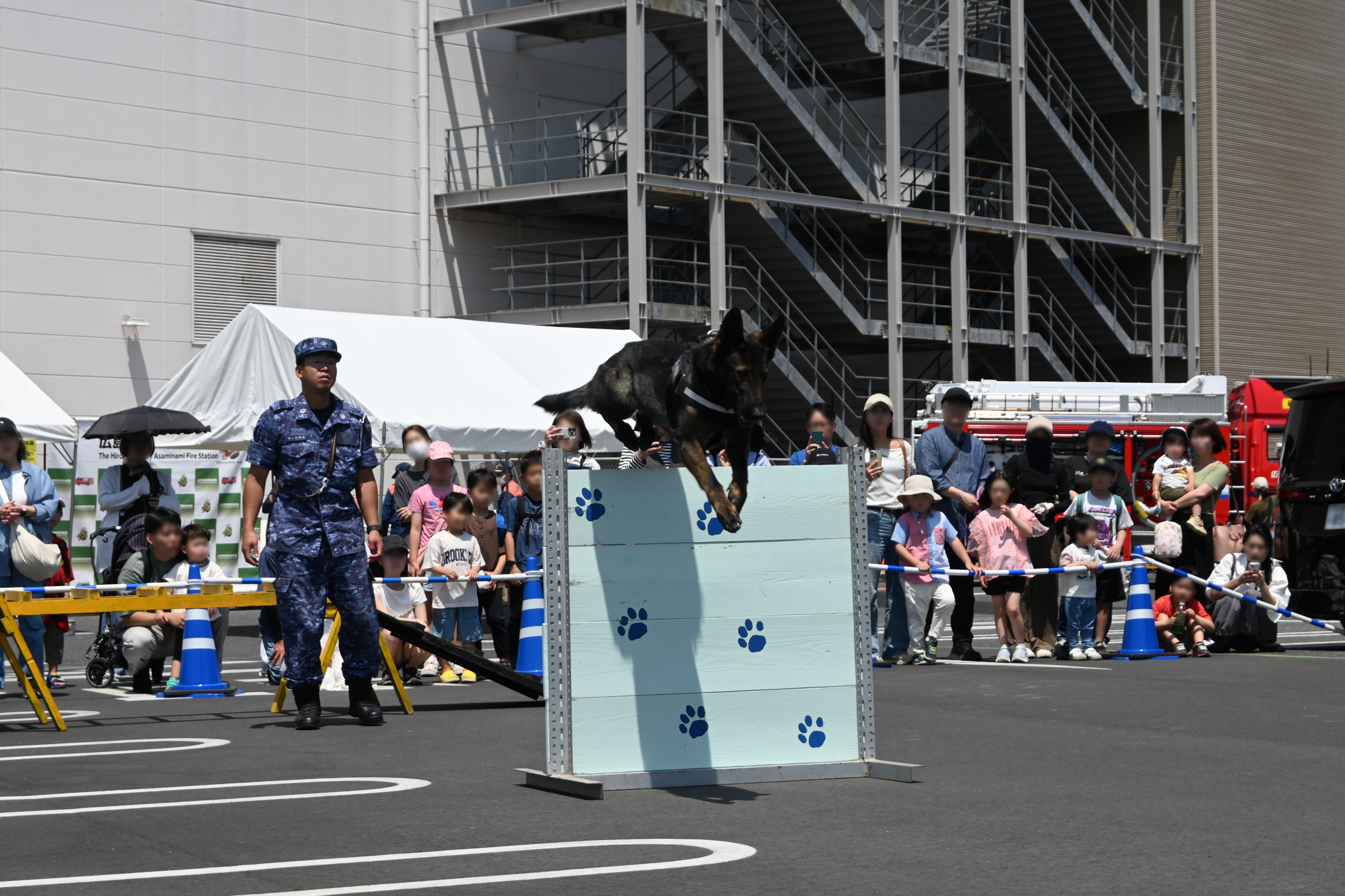 高い壁を軽々と飛び越えます