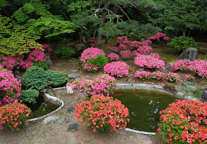 「一心池」の由来