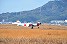 小月航空基地 小月教育航空群