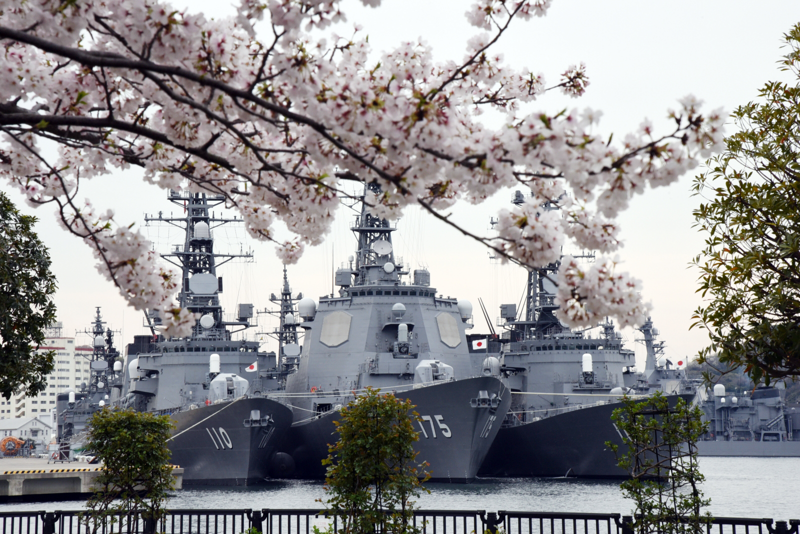本 ★海上自衛隊★ JMSDF 新品 2025年最新】Yahoo!オークション -自衛隊 階級章(本、雑誌)の