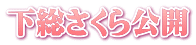 下総さくら公開