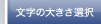 文字の大きさ選択