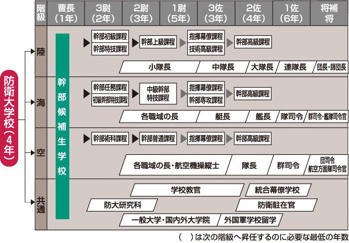 階級昇任の流れ図