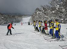 スキー訓練の写真