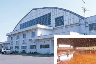Ball Game Gymnasium
