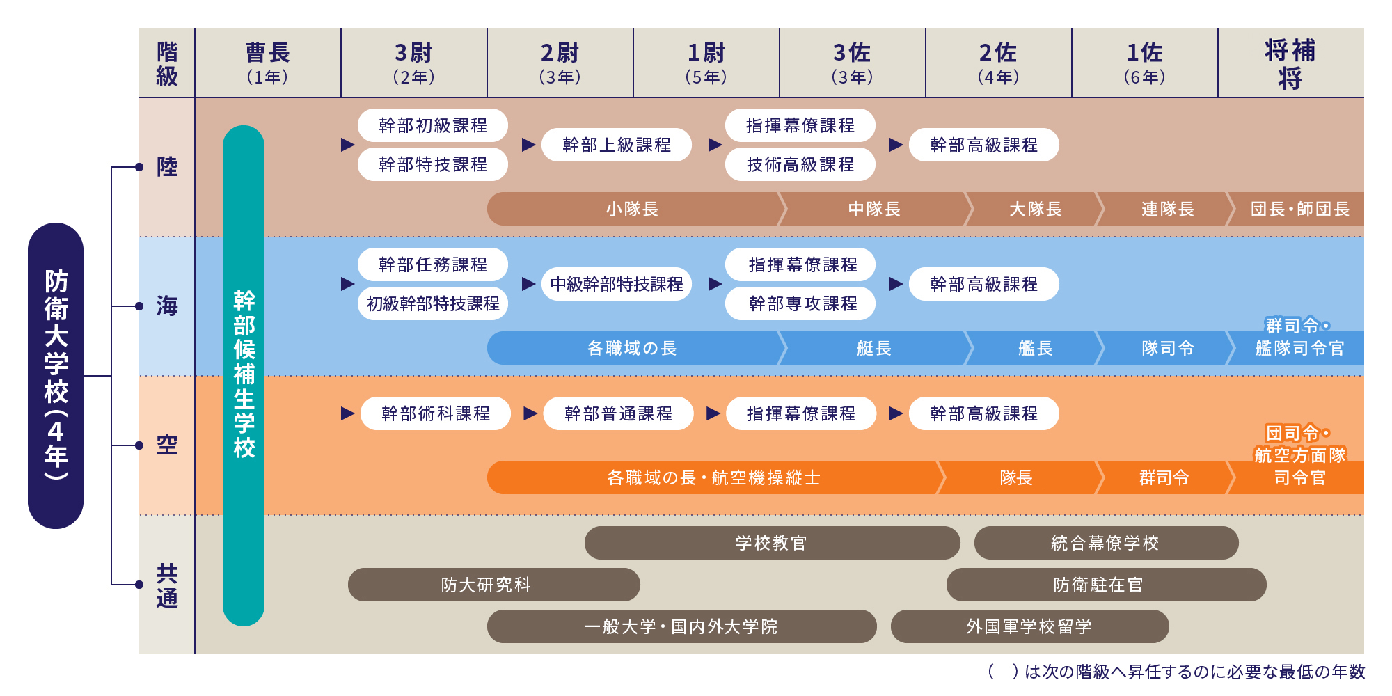 キャリアプランはどうなっているの？