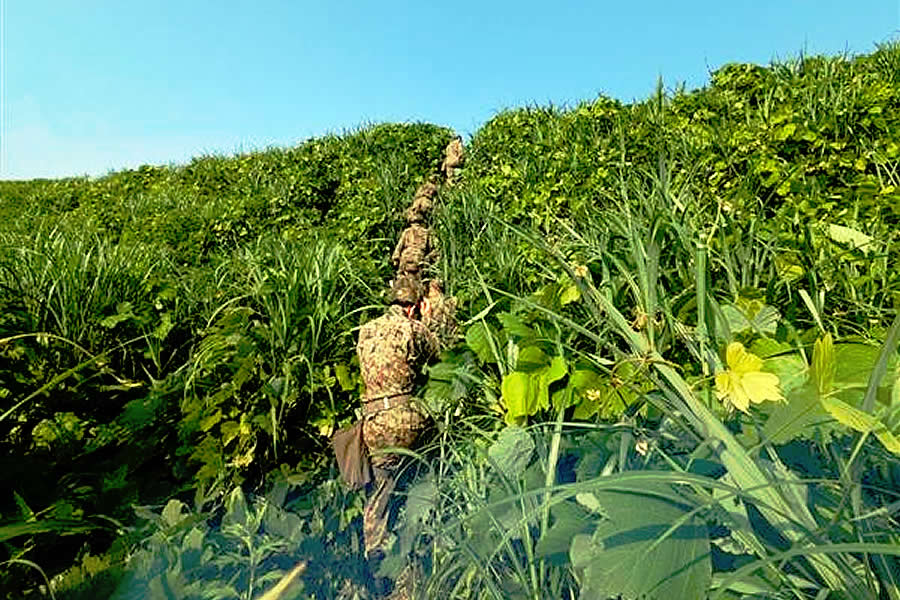 夏季定期訓練
