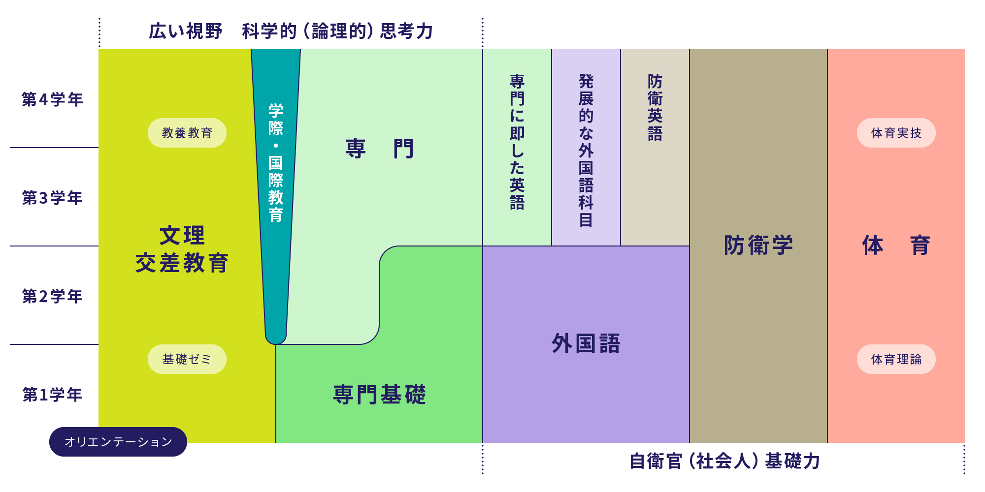 本科教育体系
