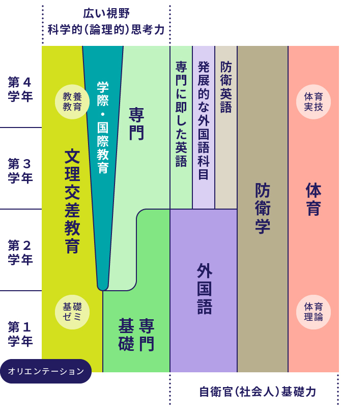 本科教育体系