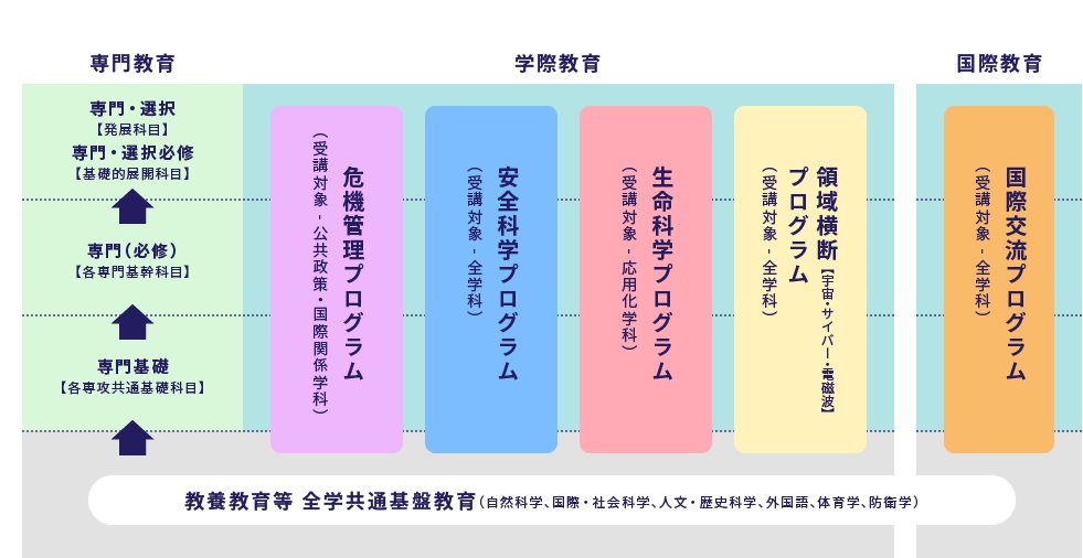 本科教育体系