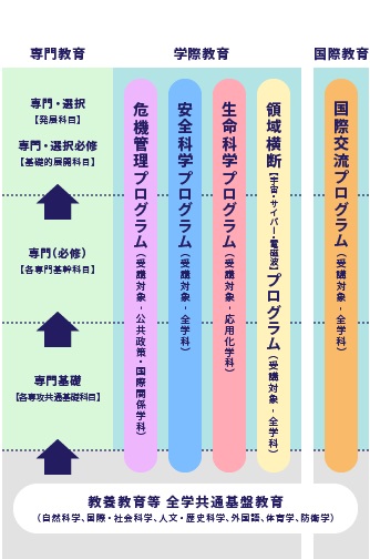 本科教育体系