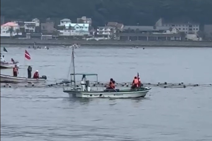 海面訓練
