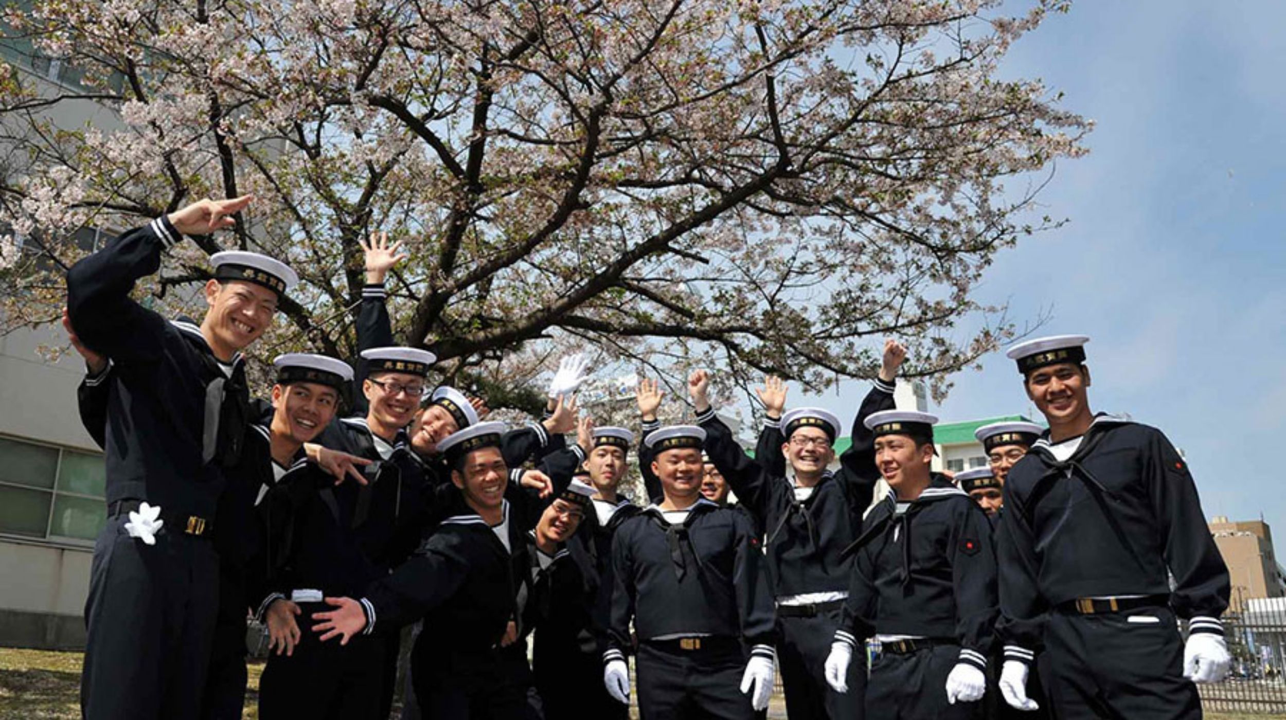桜と新入隊員