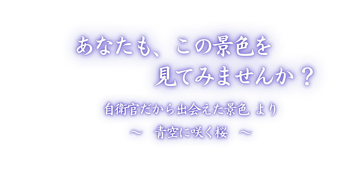 青空に咲く桜