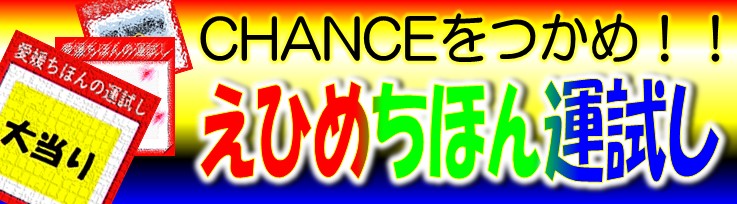 運試しコーナー