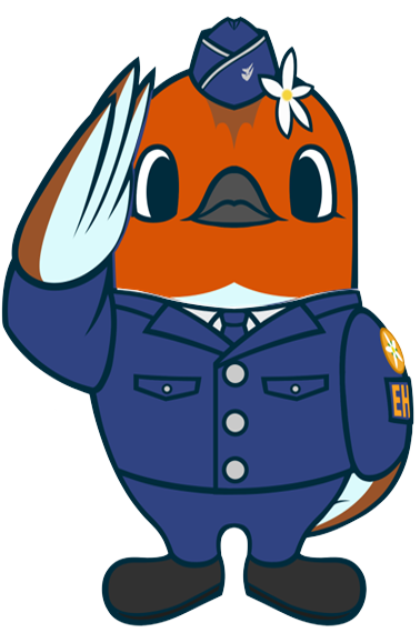 コマッピ