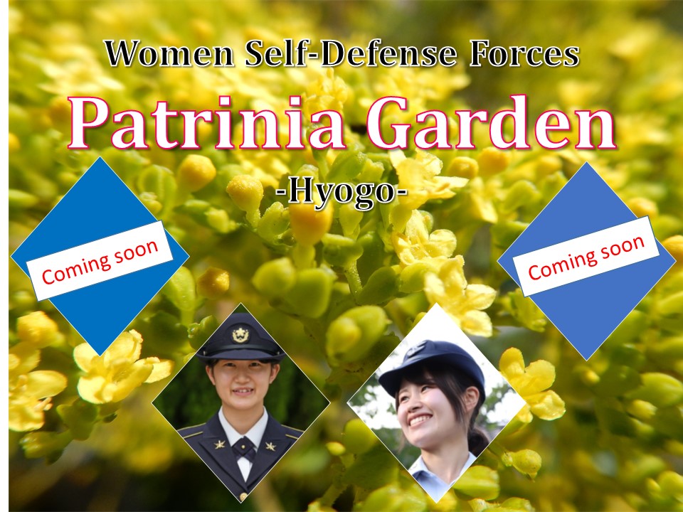 Patrinia Garden