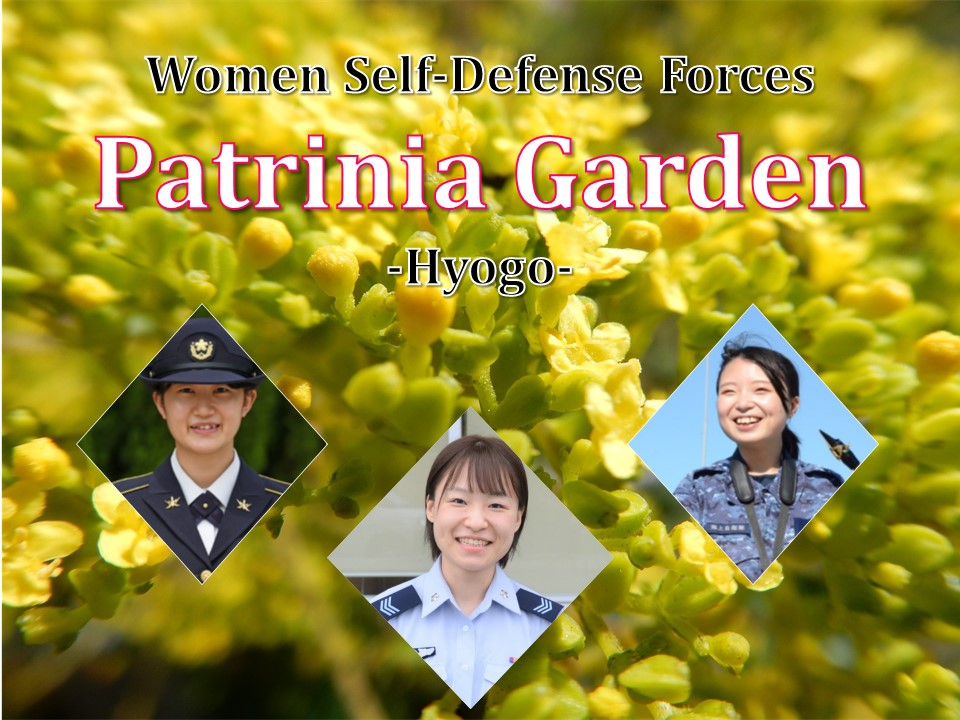 Patrinia Garden