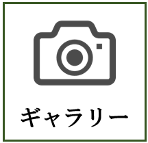 フォトギャラリー
