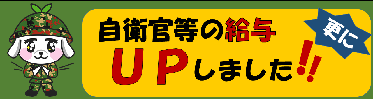 給与改正