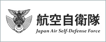 航空自衛隊